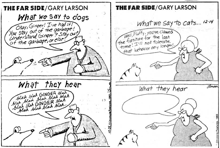 cartoonist gary larson. Gary Larson cartoons is